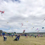Sponsorship of the Harden Kite Festival