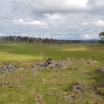 Cattle Hill Wind Farm site area